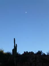 waravaipa-2013-day2-3  moon over cactus.jpg (63405 bytes)